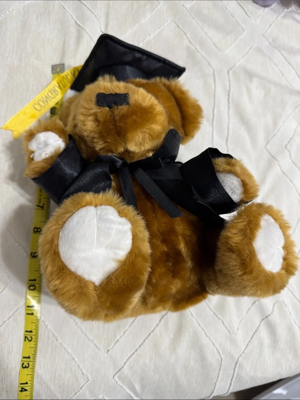 Plush Brown Graduation Teddy Bear in Black Gown
